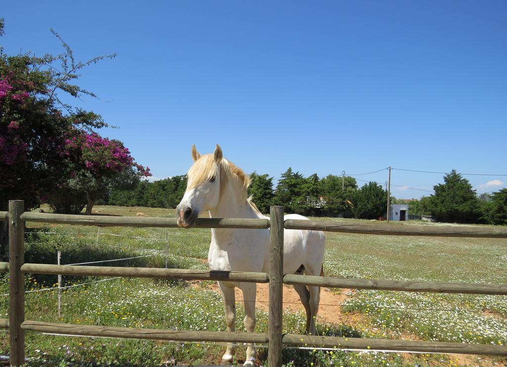 Quinta Dos Cavalos Hotel Silves Kültér fotó